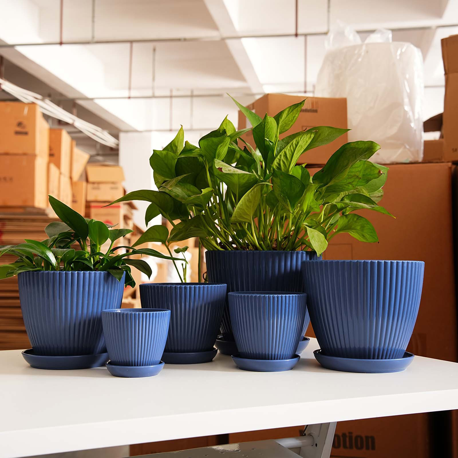 Snake Plant Ceramic - Pot Tanaman Bergaris Vertikal, Pot Bunga